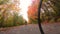 Gravel biking in fall. People biking riding gravel road bikes in autumn on forest trail. Woman living healthy outdoor