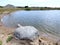 Gravel bunch , stones and lake, Lithuania