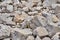 Gravel, coarse gravel and stones, as backgrounds or patterns, close-up