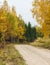 Gravel country road with a hunting tower in the bend