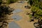 gravel dune surface in a row into the sand. a path through the park between