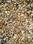 Gravel floor wallpaper