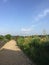 Gravel footpath into a garden