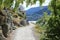 Gravel footpath and track through trees Queenstown