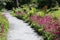 Gravel garden path leading through ferns and pink flowers