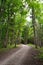 Gravel path in an avenue