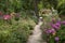 Gravel path through English garden