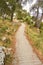 Gravel path in forest near Adriatic sea.