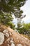 Gravel path in forest near Adriatic sea.