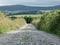 Gravel path leading to the hills