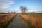 Gravel path. Rural path through farmland Norfolk UK