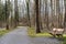 Gravel path with wooden bench and bare trees in riparian woodland in springtime