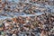 Gravel Road Background Stones Surface