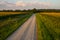 Gravel Road with Cornfields