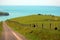 Gravel road and cows behind farm fence