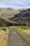 Gravel road through desert