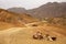 Gravel road through Draa valley