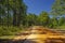 A gravel road into the Lake Talquin State Park and Forest. Tallahassee, Florida