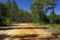 A gravel road into the Lake Talquin State Park and Forest. Tallahassee, Florida