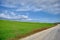 Gravel road and magnificent green grass near the road