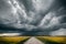 Gravel road in the middle of green and yellow fields and stormy clouds above it