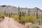 Gravel road, Organ Pipe Cactus National Park, Arizona