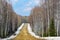 Gravel road in the Siberian taiga