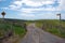 Gravel road with signs in farmland