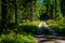 Gravel Road through Sunlit Conifer Forest in Austria