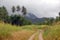 Gravel road in tropical outback