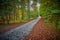 Gravel road in Turkey Foot Campground near McKee, KY