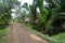 Gravel road in village Papua New Guinea