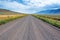 Gravel Road  Wildflowers  and Steens