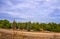 Gravel road and young fir forest against the blue sky