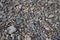 Gravel and stones in all kind of sizes at the beach shore of the Maasvlakte in Rotterdam, Netherlands