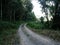 Gravel street of panchase route way for trekking in forest on Anadu hill mount for Nepali people and foreign travelers trek trail