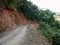 Gravel street of panchase route way for trekking in forest on Anadu hill mount for Nepali people and foreign travelers trek trail