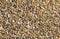 Gravel Texture