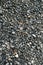 Gravel texture. Small stones, little rocks, pebbles in many shades of grey, white and blue. Texture of little rocks, background