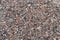 Gravel texture for your design. Crushed multicolored rubble and stones, granite chips in road surface closeup