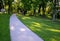 Gravel threshing path in city park light sand green lawn and trees trunks slight bend plain