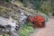 Gravel threshing path through the park on a November autumn day. under the rock formation of the slope above the lake grows a red-