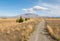 Gravel track across the grassy plains in Canterbury region, New Zealand