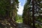 A gravel trail around the Lost Lake in Whistler, Canada, great place for swimming, fishing, floating, hiking and biking