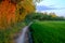 Gravel trail path surrounding a green rice field and forest