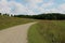 A gravel trail through a wildflower prairie leading to a forest at Pine Dunes Forest Preserve in Antioch, Illinois