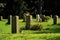 Graves on a cemetery