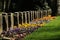 Graves on a cemetery