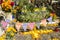 Graves decorated with flowers