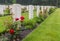 Graves of fallen canadian soldiers